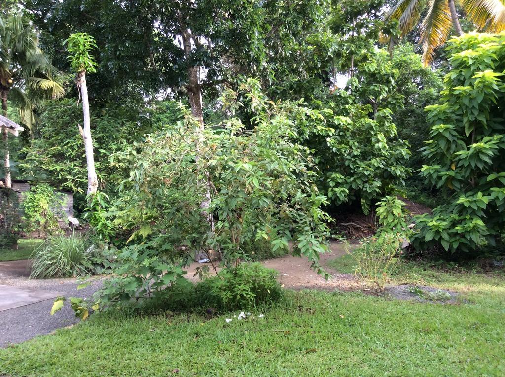 Fern Dale Villa Weligama Szoba fotó