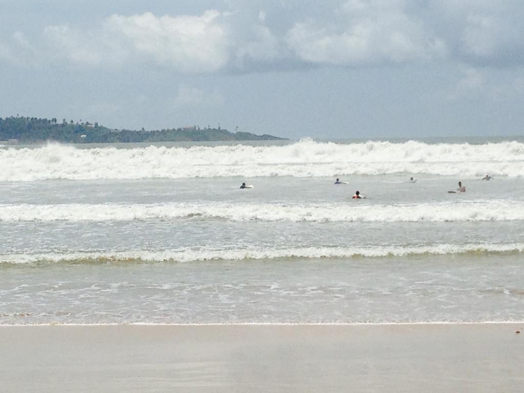 Fern Dale Villa Weligama Kültér fotó